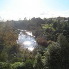 Lumb Park. Cambridge Tree Trust. 